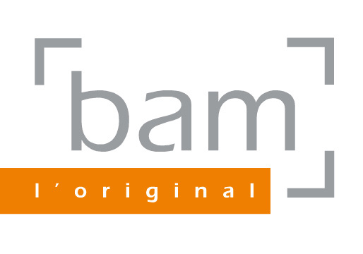 BAM Cases